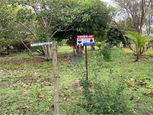 'Viva rodeado por praias paradisíacas: terreno disponível na famosa Avenida José Melo Pirajá em Barra Grande.'