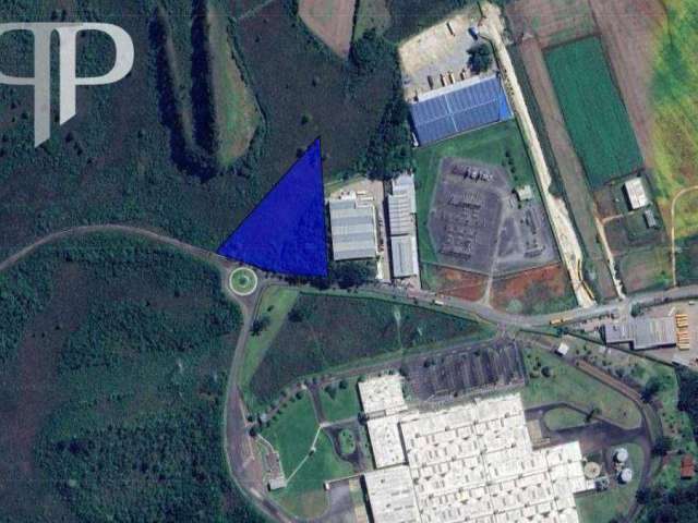 Terreno à venda, 11.000 m² por R$ 2.200.000 - Fazendinha - Campo Largo/PR