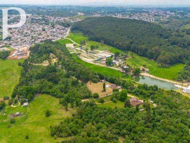 Terreno à venda, 24498 m² por R$ 6.990.000,00 - Jardim Monte Santo - Almirante Tamandaré/PR