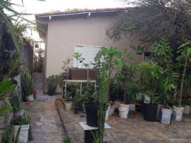 Casa com 2 dormitórios à venda por R$ 830.000,00 - Jardim Novo Campos Elíseos - Campinas/SP