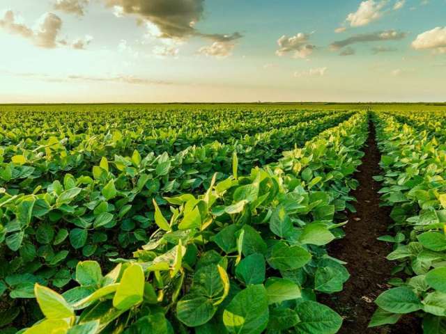 Fazenda em Várzea da Palma