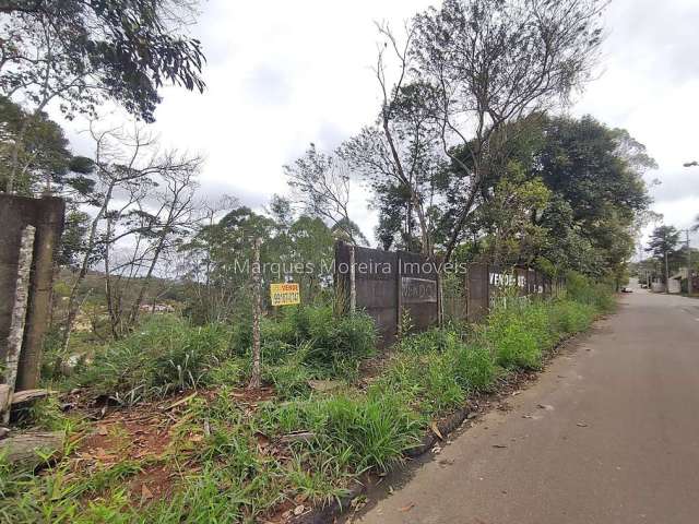 Terreno à venda na Rua Primavera, Novo Horizonte, Juiz de Fora, 1679 m2 por R$ 680.000