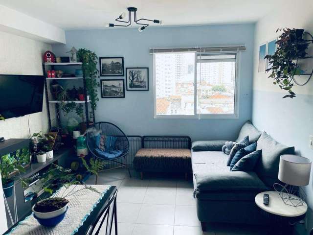 Apartamento a venda em sp cambuci