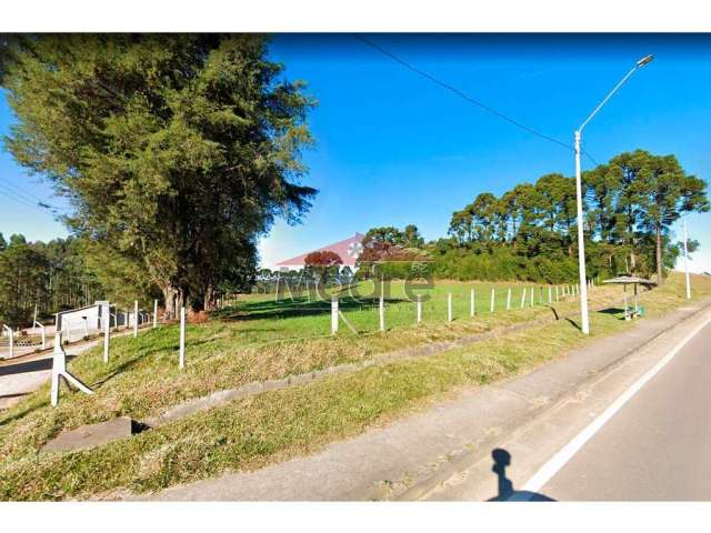 Terreno comercial à venda na BR-376, 934, Miringuava, São José dos Pinhais, 121000 m2 por R$ 15.730.000