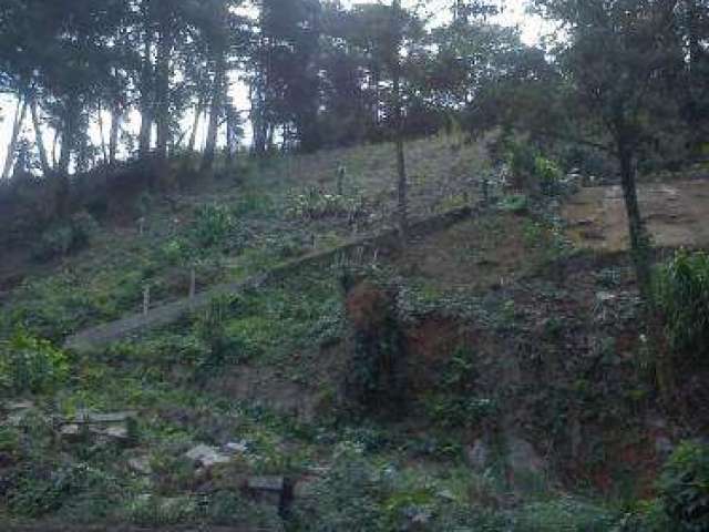 Terreno para Venda em Teresópolis, Vale do Paraíso