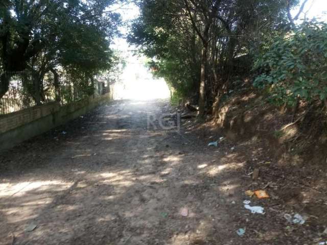 Terreno em IPANEMA medindo 20 x 112 m, a dois minutos do Big Cavalhada, com várias linhas de ônibus e duas de lotações 24 horas na porta. Ideal para empreendimento imobiliário ou para lazer. Terreno c