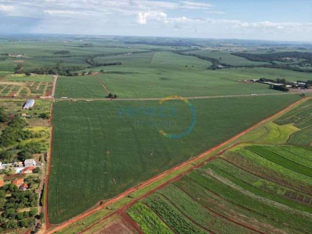 Chácaras_Prop rurais à venda, 242000.00 m2 por R$11000000.00  - Milton Gavetti - Londrina/PR