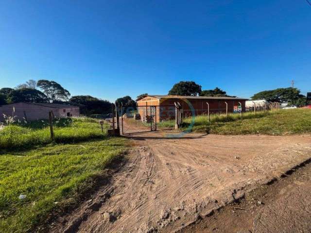 Barracão_Salão_Loja para alugar, 1060.00 m2 por R$12000.00  - Cilo 3 - Londrina/PR