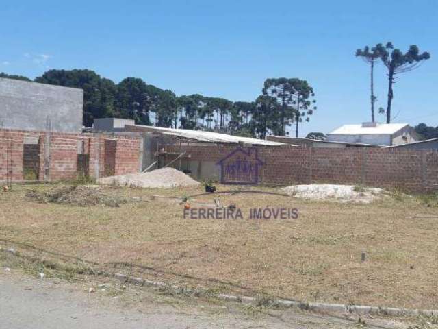 Terreno à venda, 510 m² por R$ 350.000,00 - Rio Pequeno - São José dos Pinhais/PR