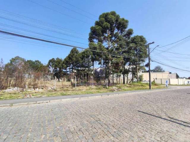 Terreno à venda, 1038 m² por R$ 602.000,00 - Cristal - São José dos Pinhais/PR