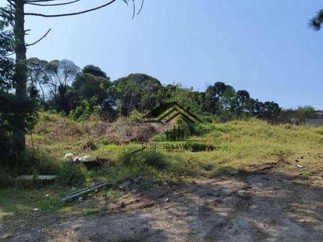 Terreno à venda, 734 m² por R$ 450.000 - Guatupê - São José dos Pinhais/PR