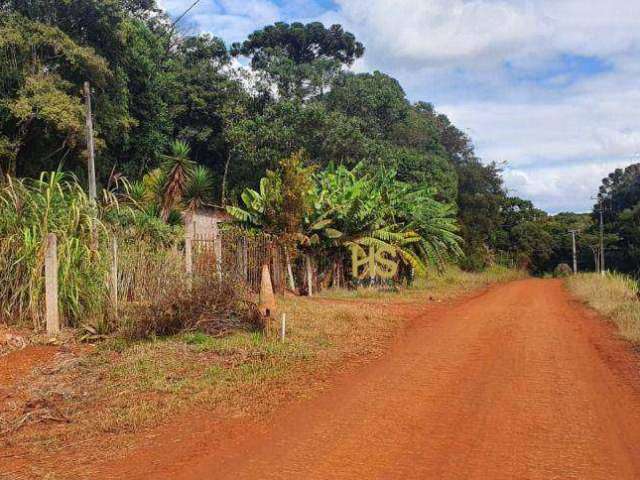 Chácara com 5.000 m² na Colônia Barreiros em Cascavel, Venda ou Troca.