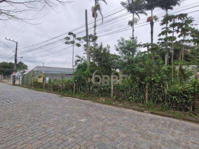 Terreno à venda, 1192 m² por R$ 799.000,00 - Figueira - Gaspar/SC