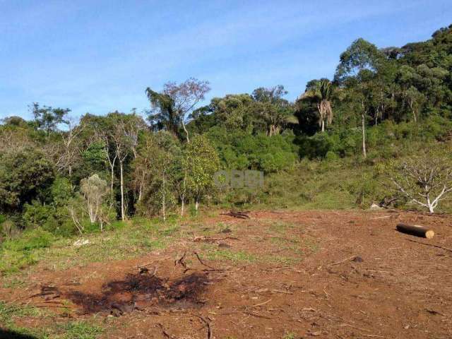 Terreno à venda com 50 hectares por R$ 580.000 - Bracinho - Apiúna/SC