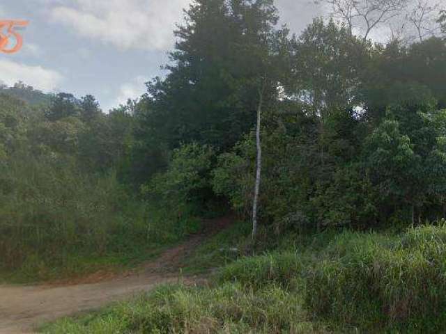 Terreno à venda, 3228 m² por R$ 1.937.340,00 - Água Verde - Blumenau/SC