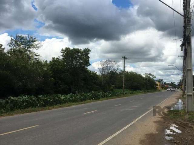 Lindo e Ótimo: Terreno com 1.500mts plano para fins de casa, comércio, condomínio. localização privilegiada bem na avenida perto de mercado e comércios. PERTO DO MERCADO DISUL