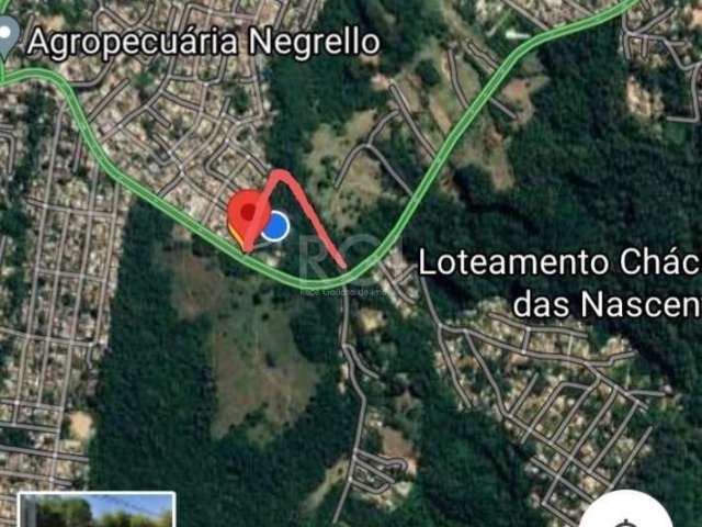 Terreno com aproximadamente 25.000m²