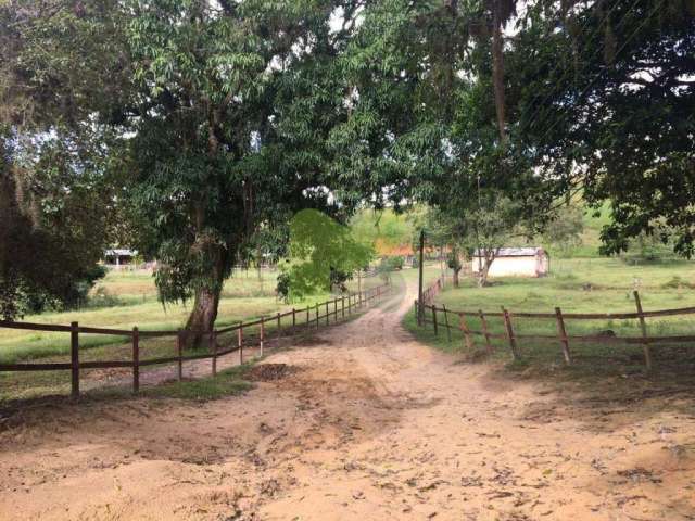 Haras a venda em Casimiro de Abreu