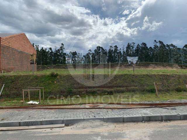 Terreno à venda, Bairro Warnow - Indaial -SC com área útil de 360 m²