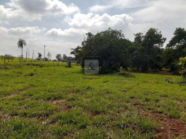 Sítio para Venda em Paulínia, Betel, 1 dormitório, 2 banheiros