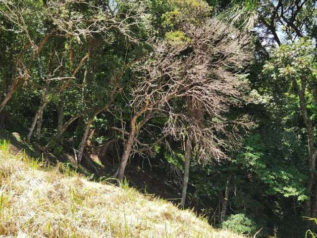 Terreno em condômino fechado no Corrego Grande