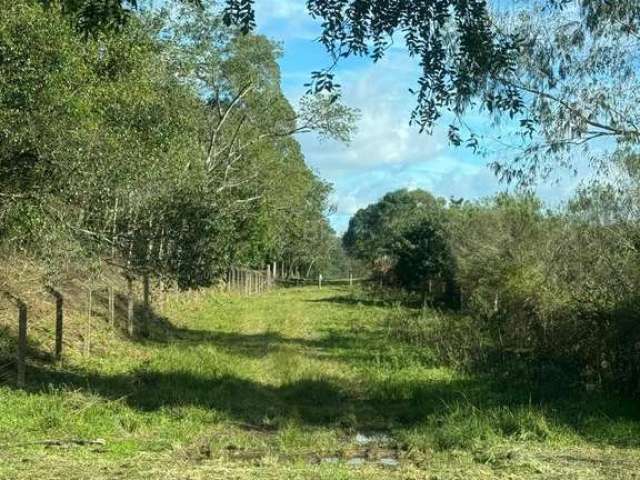 Ótima área de terras  com 26,600 m² ou 2,66 ha  em caxias do sul