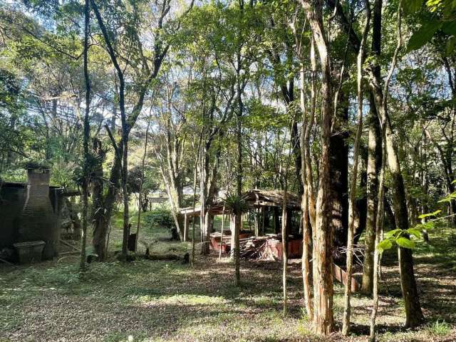 Chacara com 3 hectares em vila seca