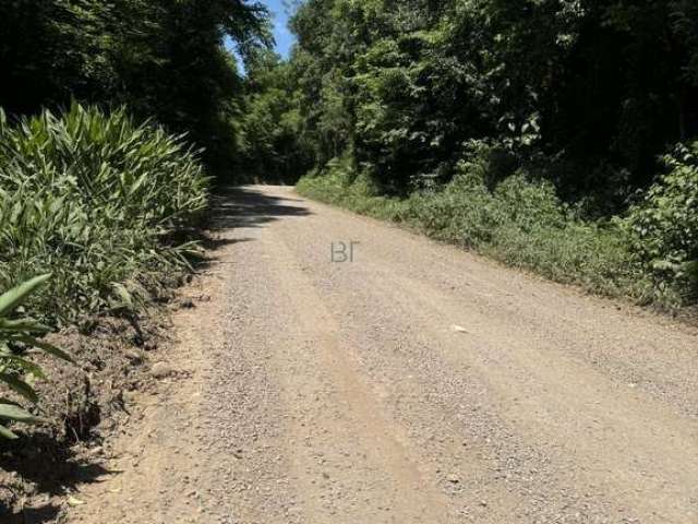 Chácara em são luiz -  com área de 8 ha - caxias do sul