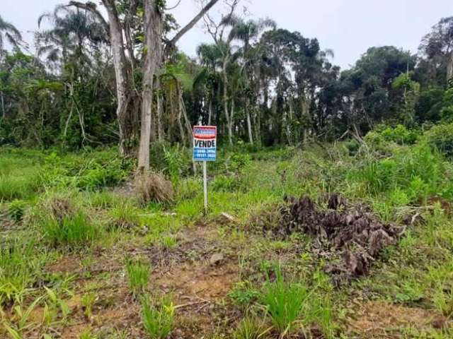 Terreno para Venda em Balneário Barra do Sul, Costeira