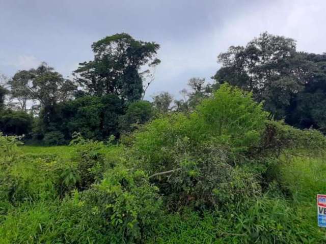 Terreno para Venda em Balneário Barra do Sul, Costeira