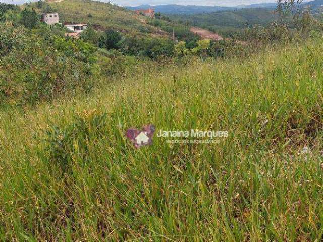 Área à venda, 26000 m² por R$ 1.300.000,00 - Santa Ella - Araçariguama/SP