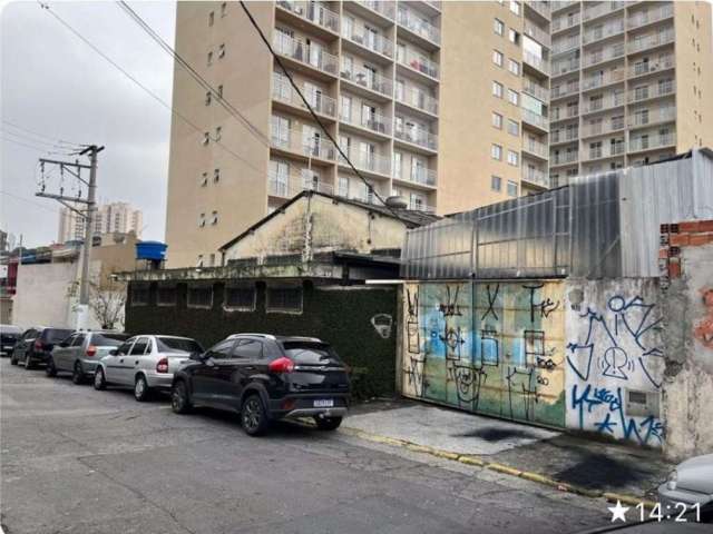 Terreno Residencial à venda, Vila Ivone, São Paulo - TE0006.