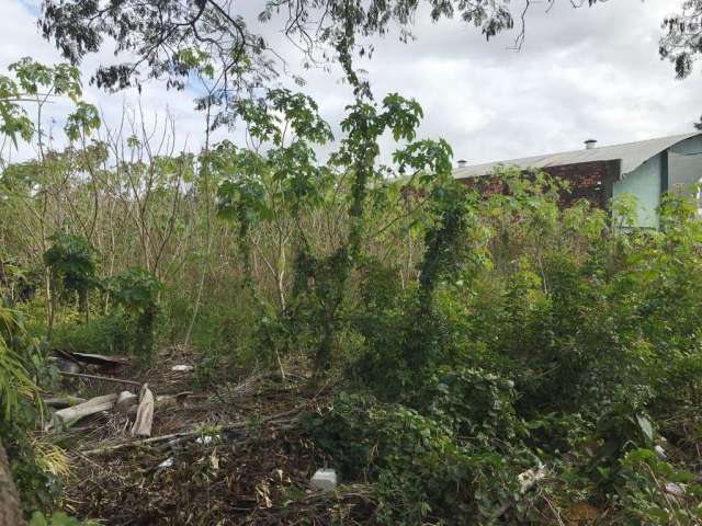 Terreno à venda na Rua Dona Alzira, 770, Sarandi, Porto Alegre por R$ 1.600.000