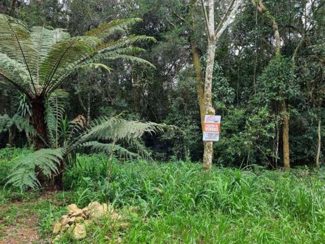 Terreno à venda na Rua William Starostik, Colônia Zacarias, São José dos Pinhais por R$ 890.000