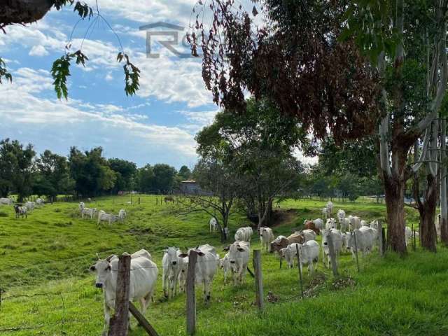 Sítio com 11 dormitórios à venda, 375100 m² por R$ 16.500.000 - Sp127 - Saltinho/São Paulo