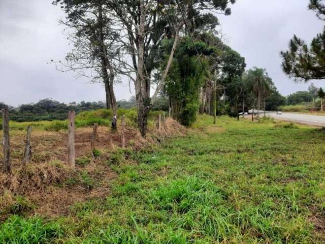 Área/terreno frente para rodovia à venda, 23.460 m² por r$ 6.000.000 - curitibanos - bragança paulista/sp