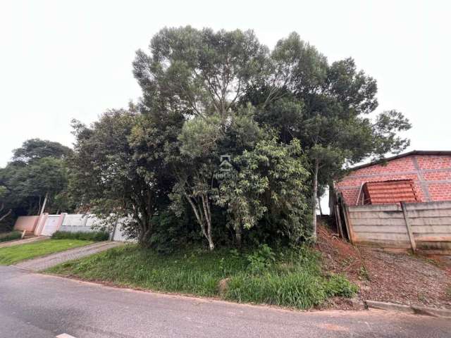 Terreno à venda na Avenida Alzira Berton Pauletto, Del Rey, São José dos Pinhais por R$ 200.000