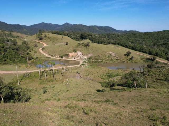 Fazenda com 7 salas à venda na Rural, 1, Zona Rural, São José dos Pinhais por R$ 17.900.000