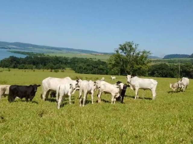 Fazenda PARQUE DAS AMERICAS UBERABA MG Brasil