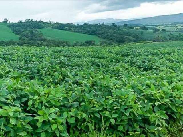 Fazenda CENTRO SAO JOSE DA BARRA MG Brasil