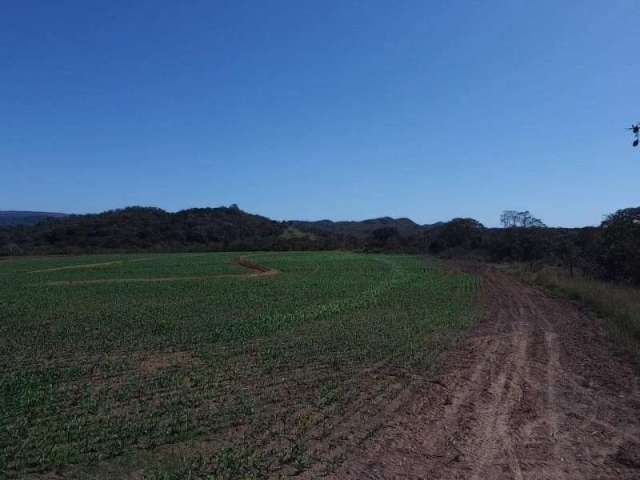 Fazenda NOSSA SENHORA DO CARMO UNAI MG Brasil