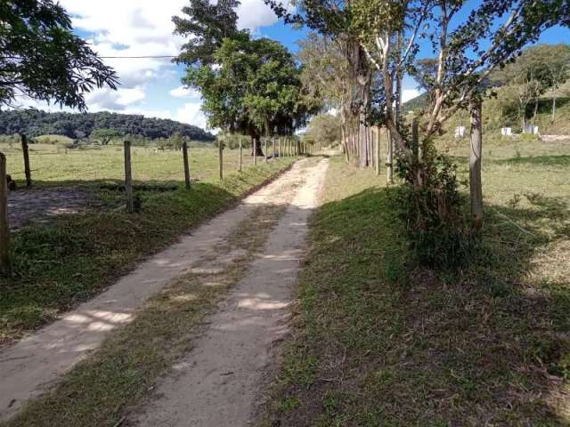 Fazenda CENTRO SILVA JARDIM RJ Brasil