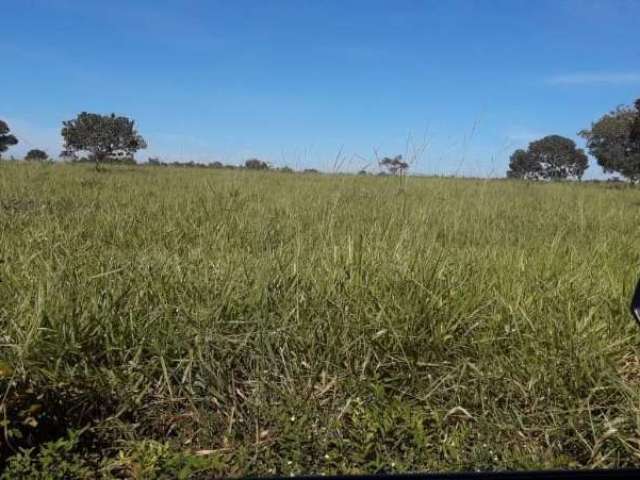 Fazenda SETOR CENTRAL PEDRO AFONSO TO Brasil