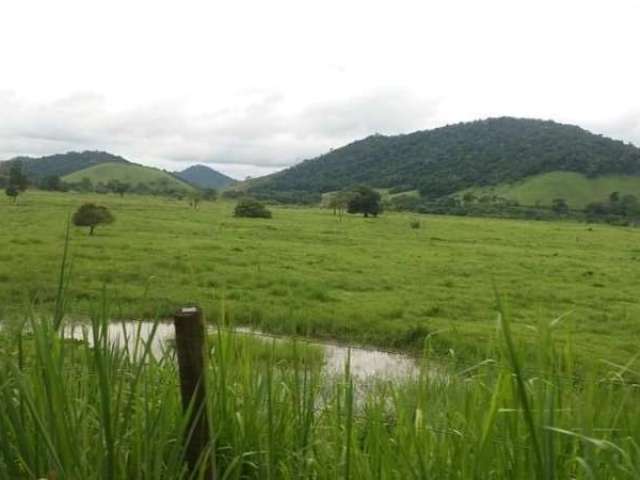 Fazenda CORREGO DO OURO/CORREGO DO OURO MACAE RJ Brasil