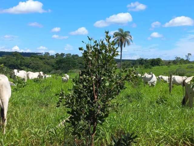 Fazenda SERRA VERDE (VENDA NOVA) BELO HORIZONTE MG Brasil