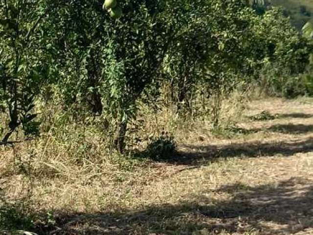 Fazenda MURIQUI TANGUA RJ Brasil