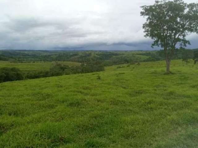 Fazenda CENTRO UNAI MG Brasil