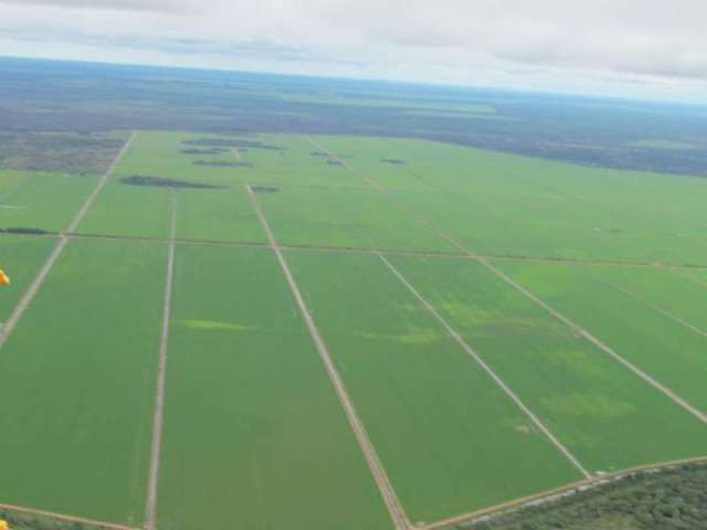 Fazenda SETOR CENTRAL DUERE TO Brasil