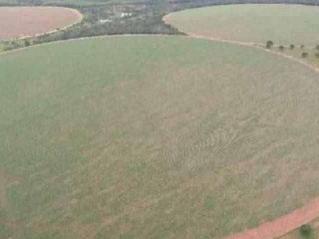 Fazenda CENTRO PARACATU MG Brasil