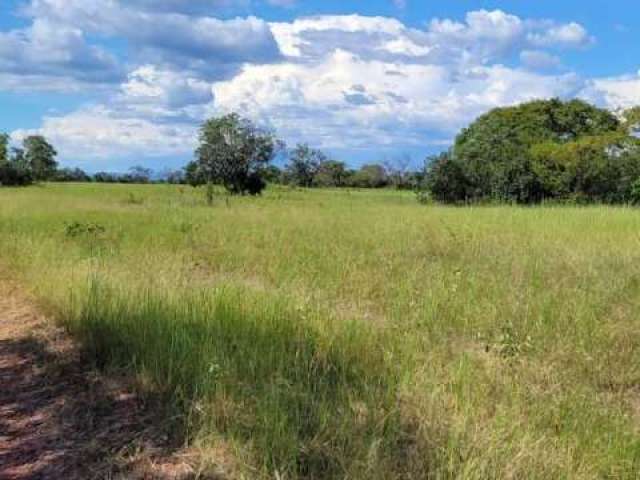 Fazenda FRONTEIRA SANTO ANTONIO DO LEVERGER MT Brasil